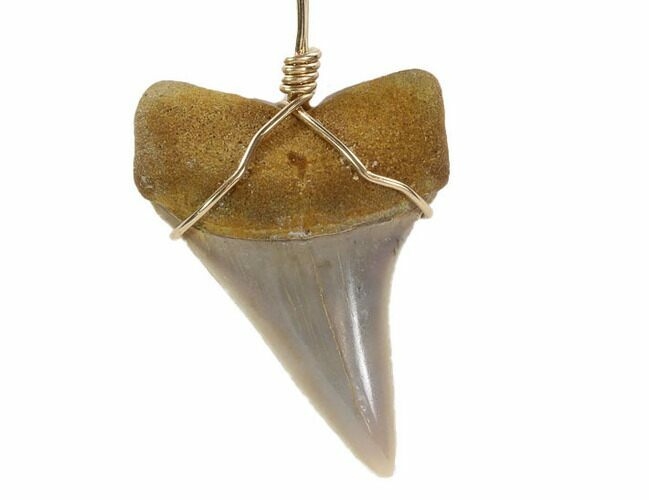 Fossil Mako Tooth Necklace - Bakersfield, California #95247